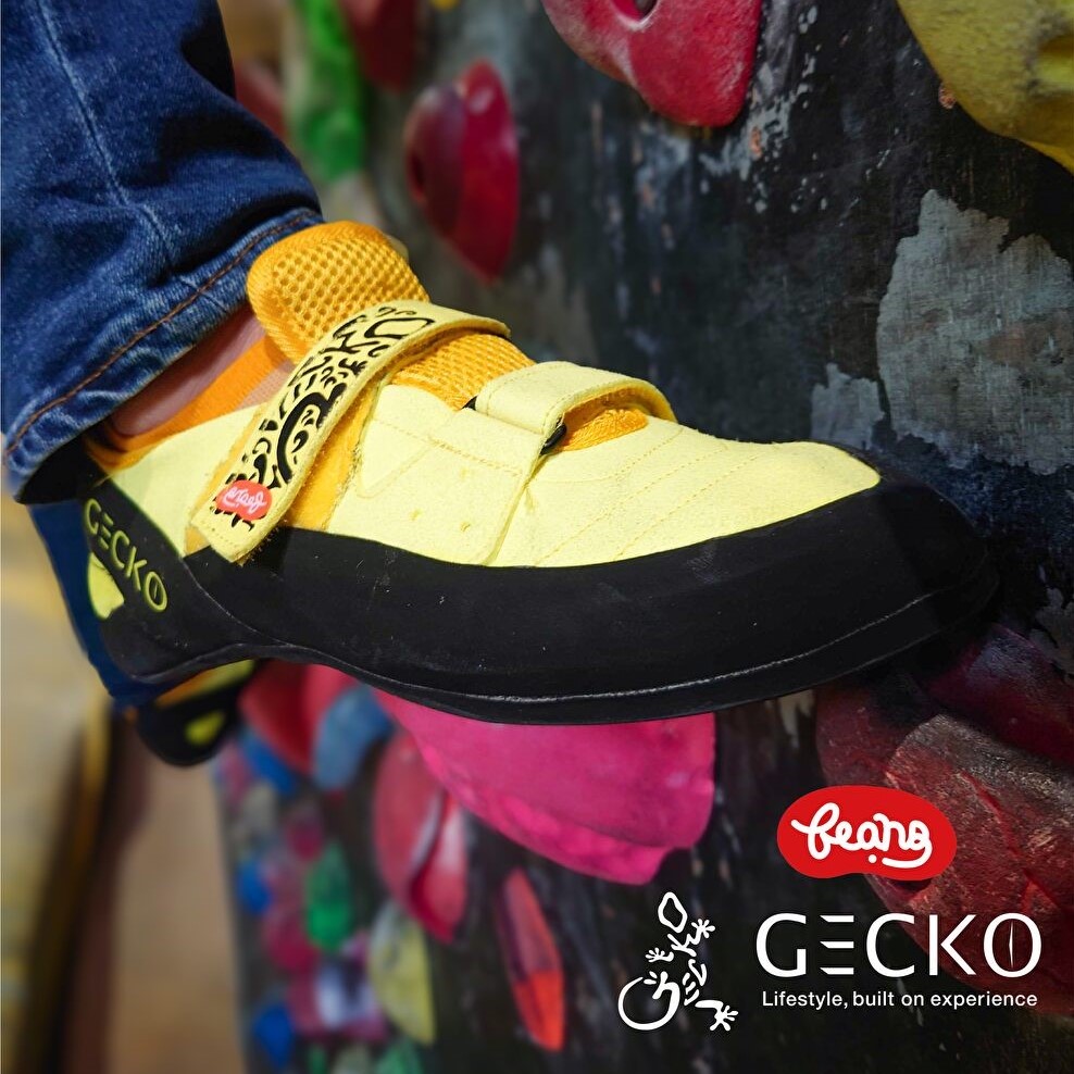 GECKO ���å����塼�� BEANS �ӡ���