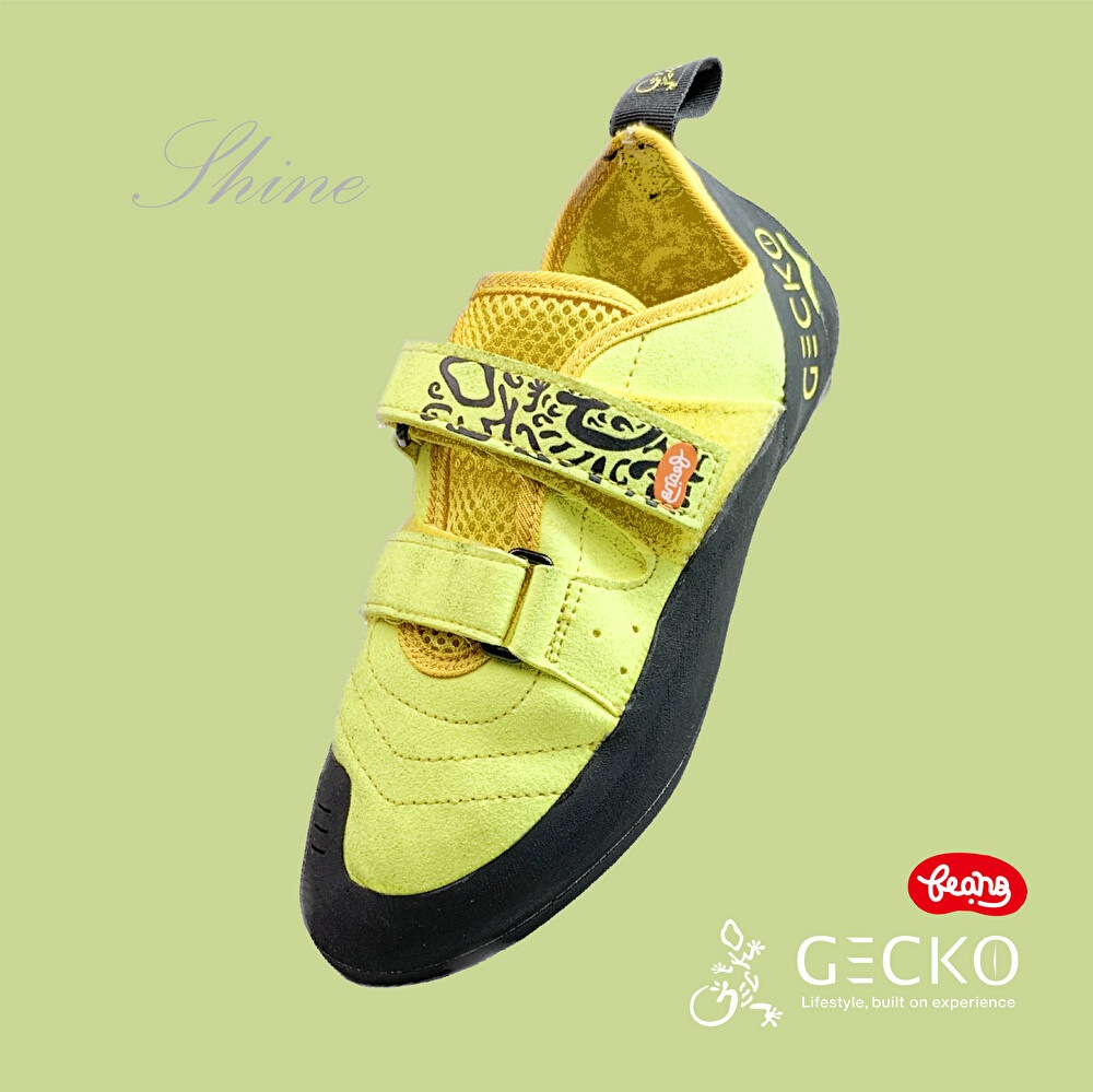 GECKO ���å����塼�� BEANS �ӡ���