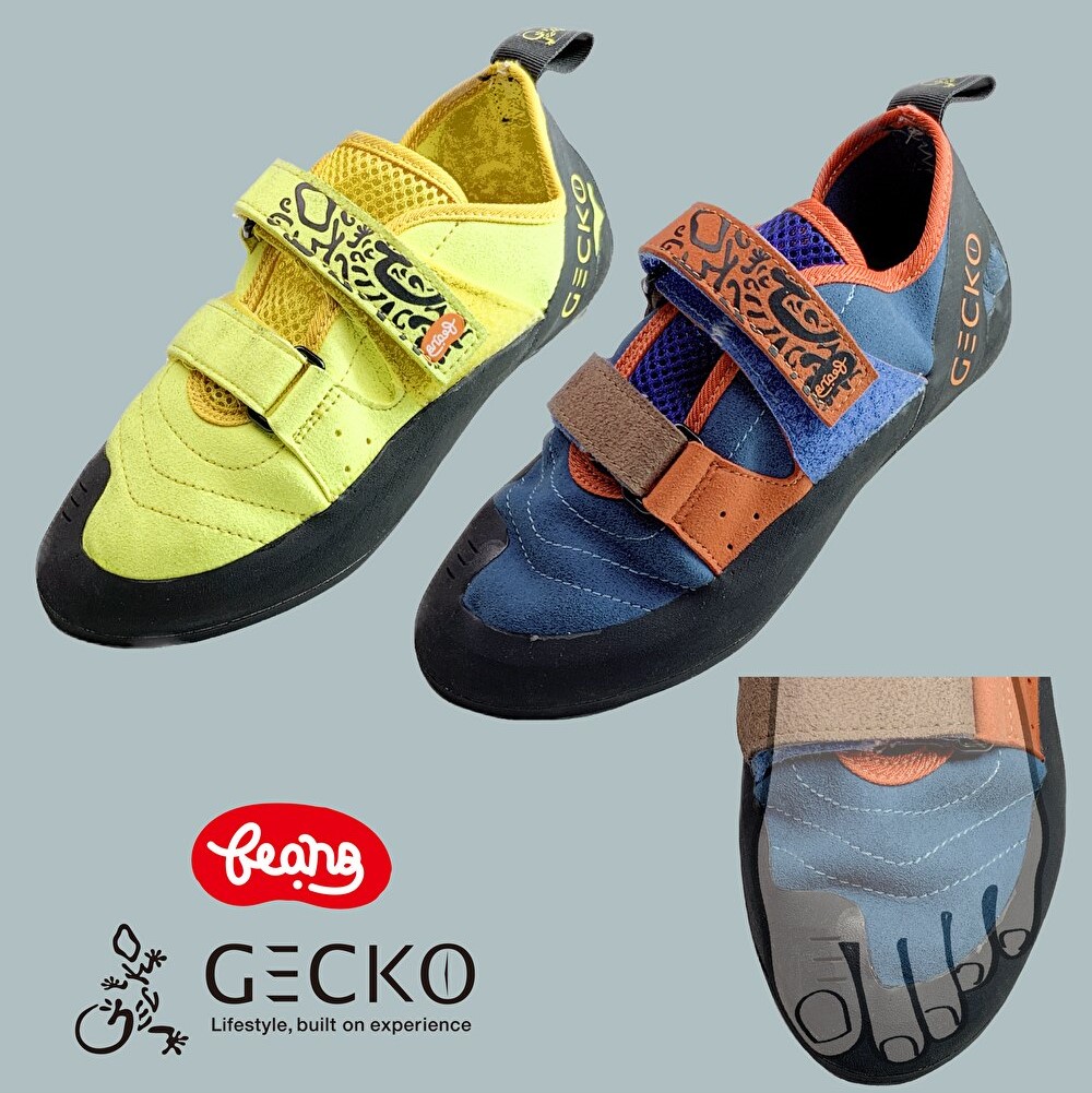 GECKO ���å����塼�� BEANS �ӡ���
