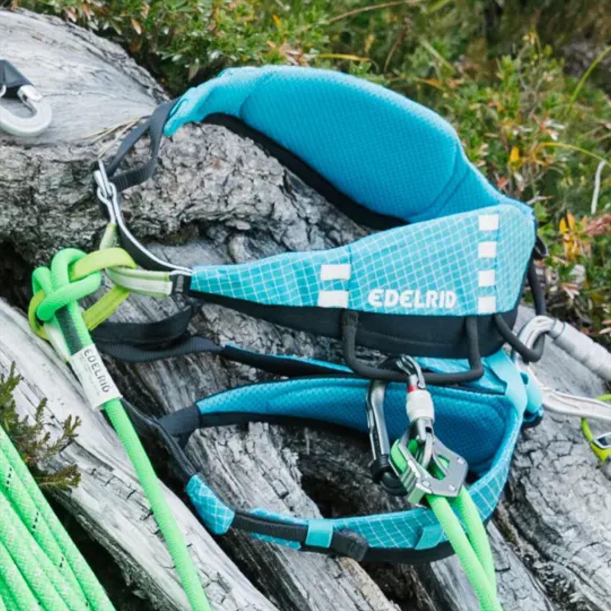 ��30��OFF��22660�ߢ��ۥ����ǥ��å� �إꥢ