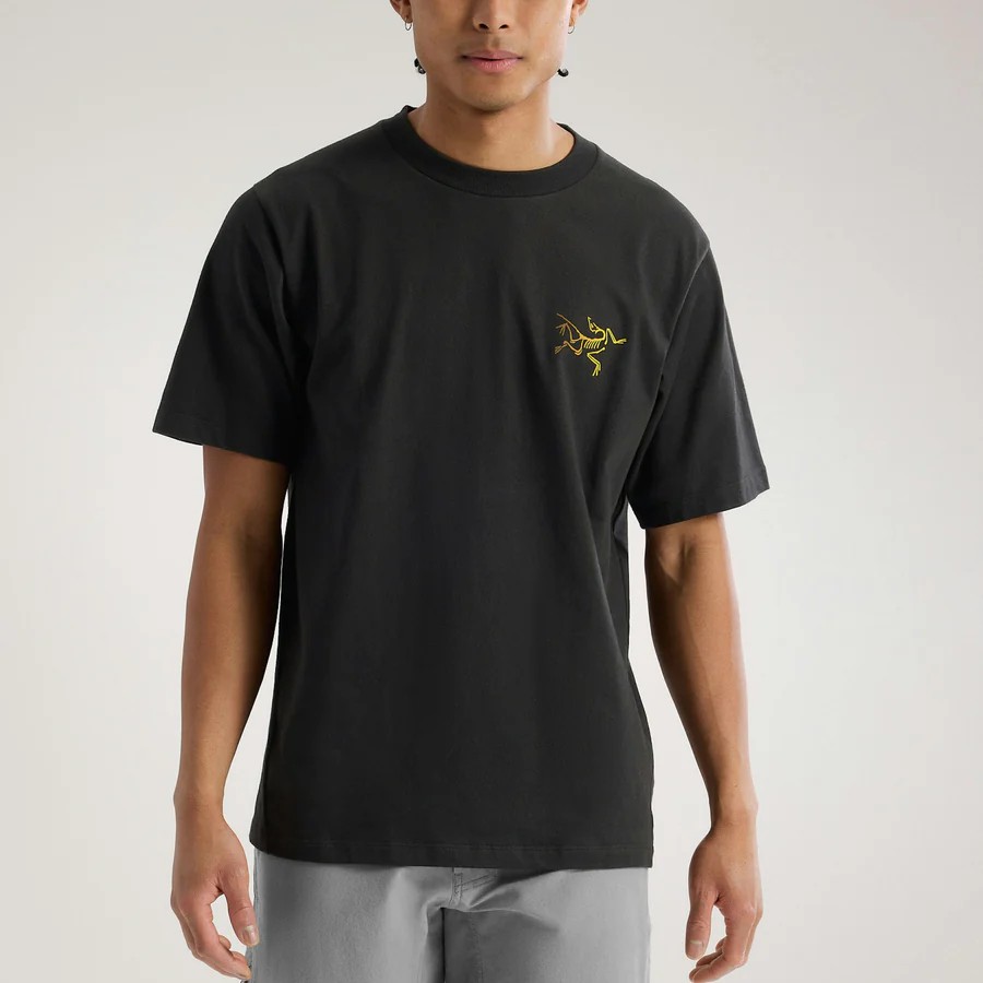 �������ƥꥯ�� M's ����å� ���åȥ� ���� ���硼�ȥ��꡼�� Kragg Cotton Logo SS