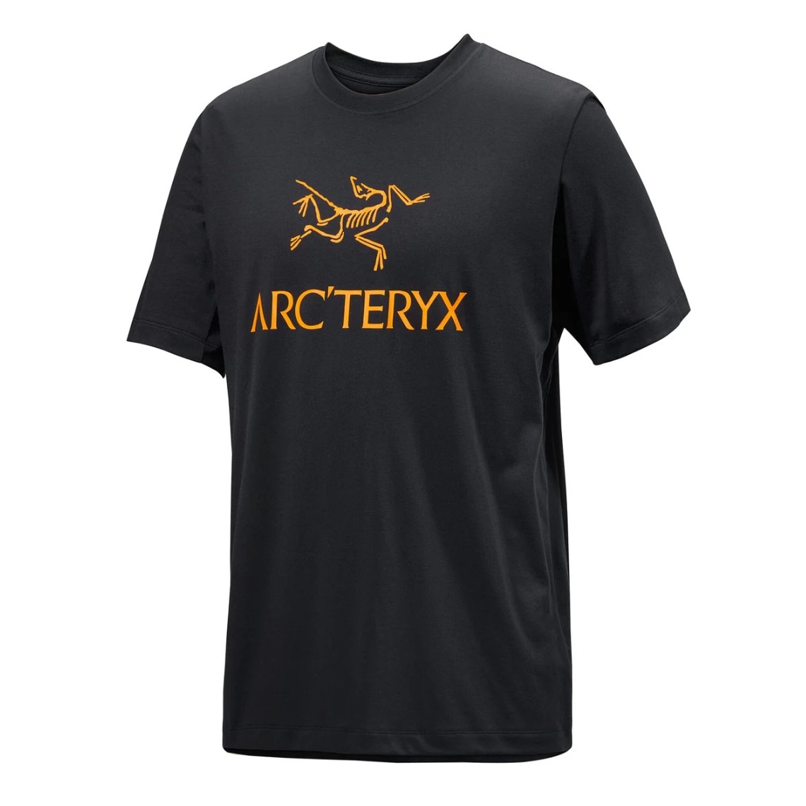 �������ƥꥯ�� M's ��������� ���� ���硼�ȥ��꡼�� Arc'Word Logo SS