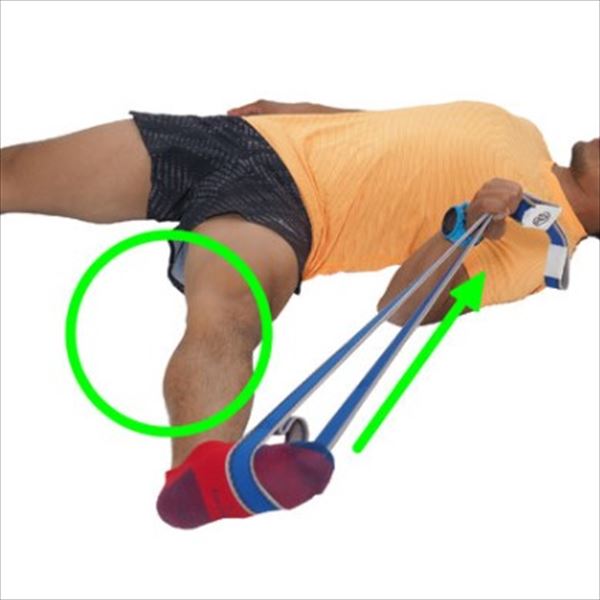 �ץ��ƥå���������å� ���ȥ�å��Х�� �֥롼