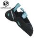 ����ѥ��� Flagship Pro LV �ե�å����å� �ץ� LV ��ŹƬ����ݥ����UP���ʡۥݥ����700P�ץ쥼���