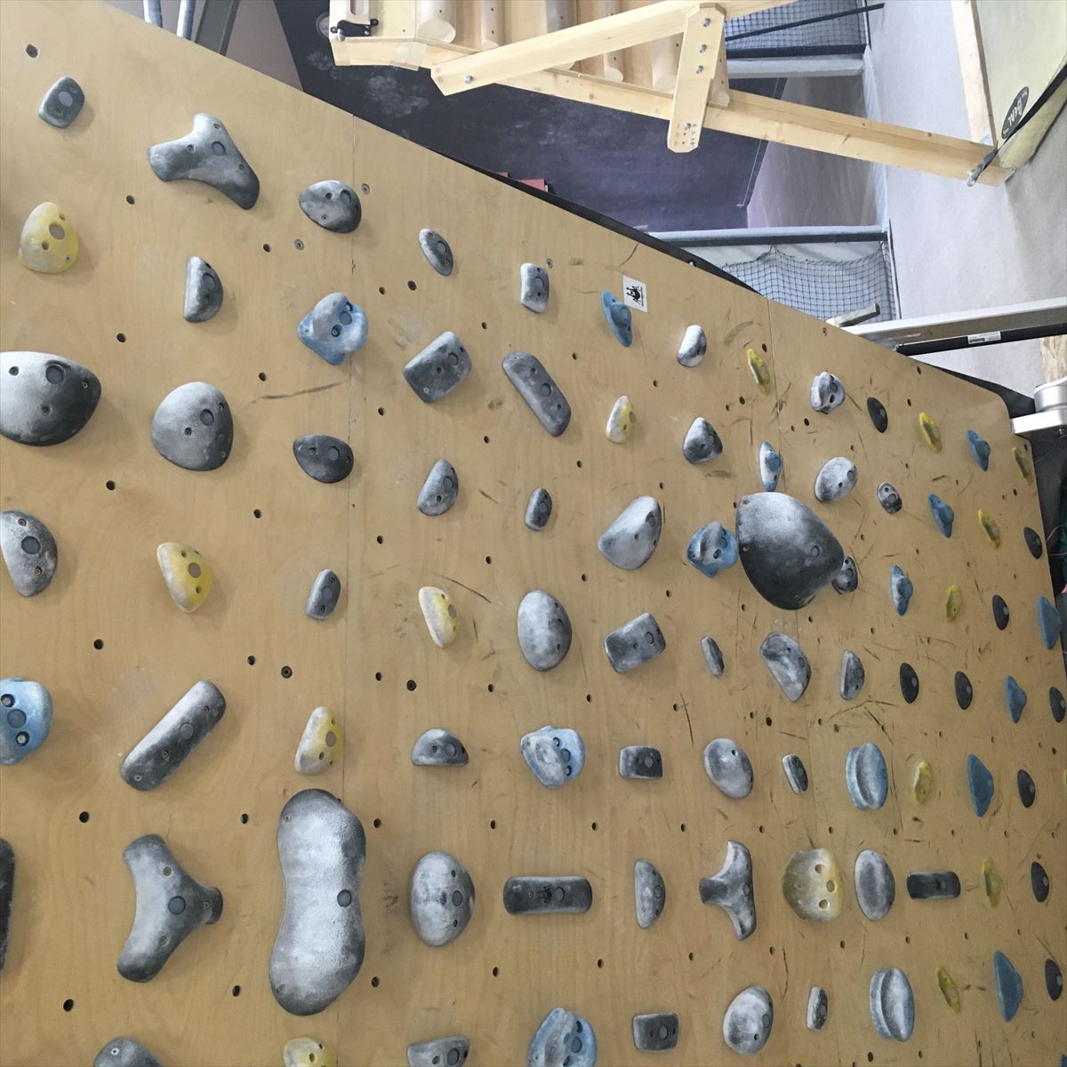 GRASS HOPPER ���饹�ۥåѡ� NINJA �ʰ��������ʡ�