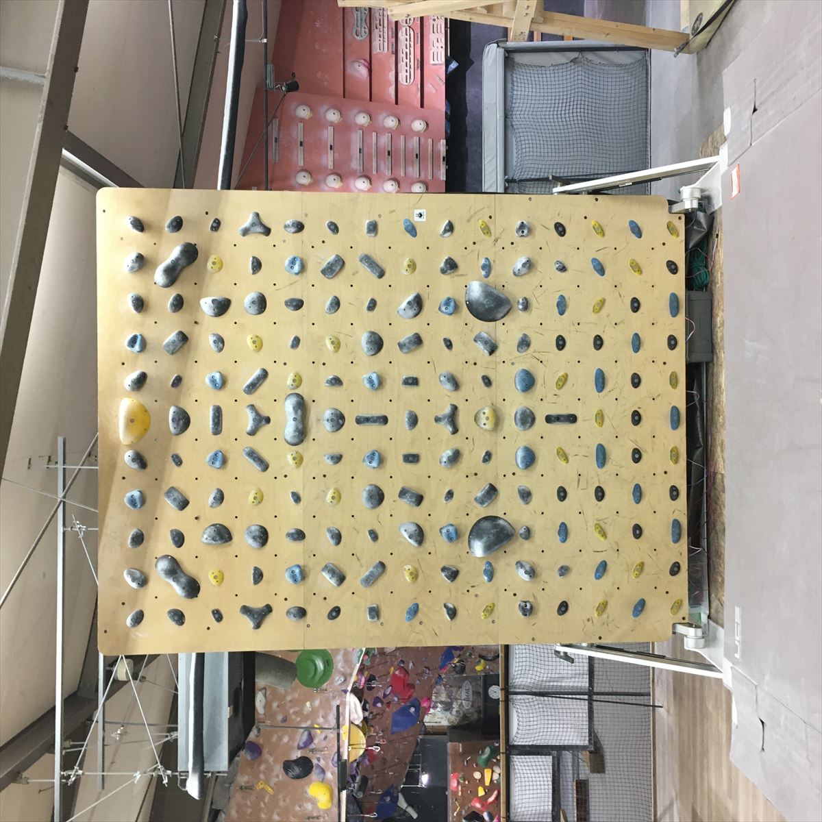 GRASS HOPPER ���饹�ۥåѡ� NINJA �ʰ��������ʡ�