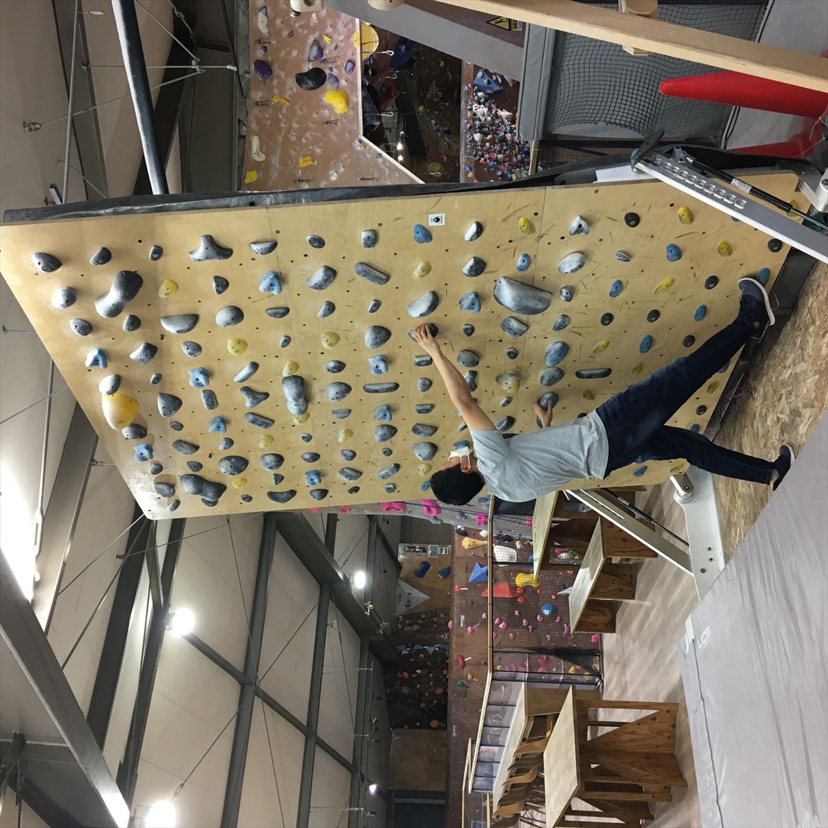 GRASS HOPPER ���饹�ۥåѡ� NINJA �ʰ��������ʡ�