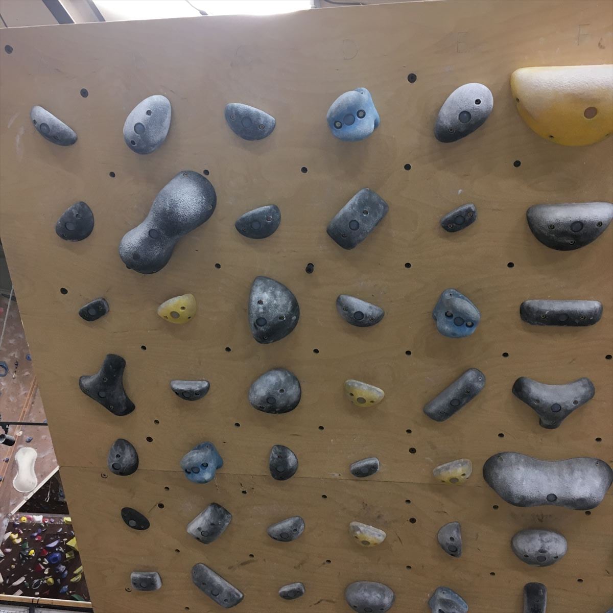 GRASS HOPPER ���饹�ۥåѡ� NINJA �ʰ��������ʡ�