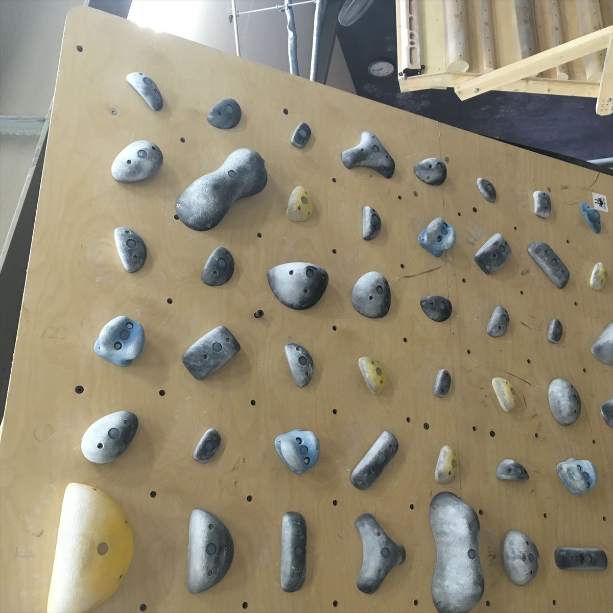 GRASS HOPPER ���饹�ۥåѡ� NINJA �ʰ��������ʡ�