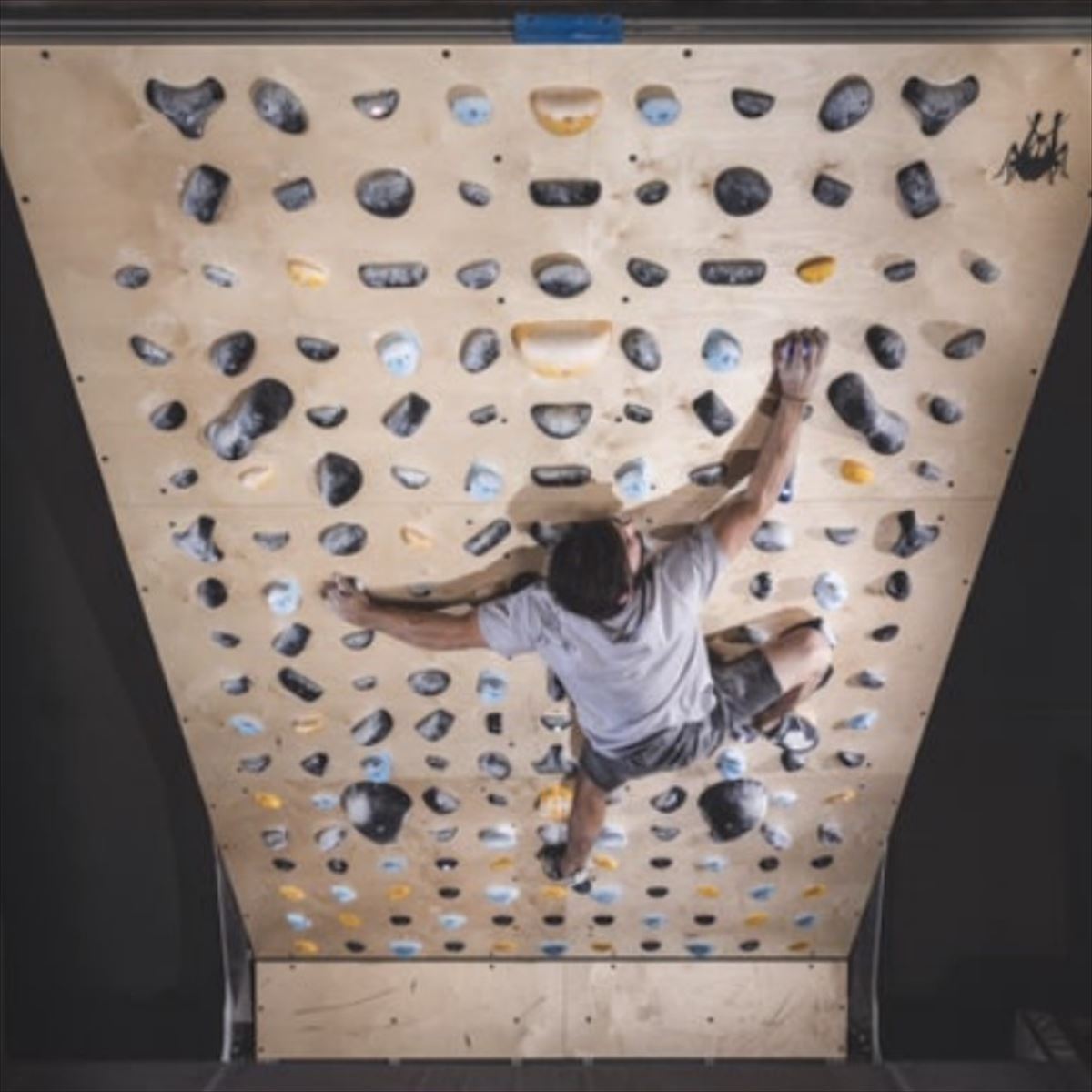 GRASS HOPPER ���饹�ۥåѡ� NINJA �ʰ��������ʡ�