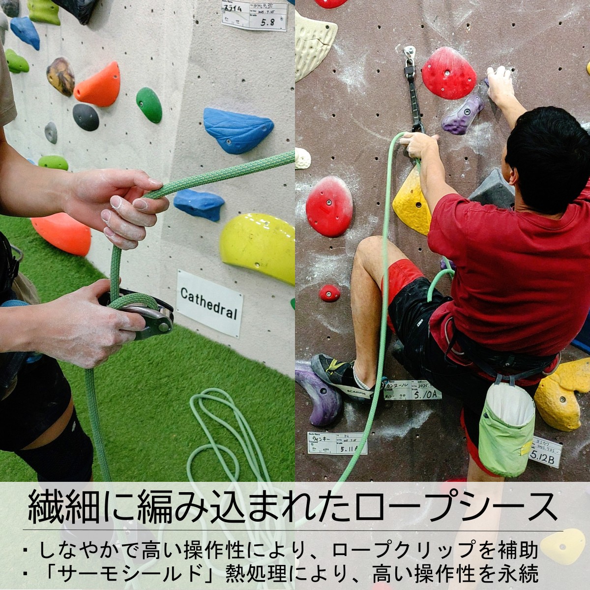 �����ǥ��å� ER71342.060 �ϥߥ󥰥С��ɥ����ɥ饤 9.2mm 60m �ʥ��ȥ��ȥ饹�ߥ�ȡ�ŹƬ����ݥ����UP����700P�ץ쥼��ȡ�