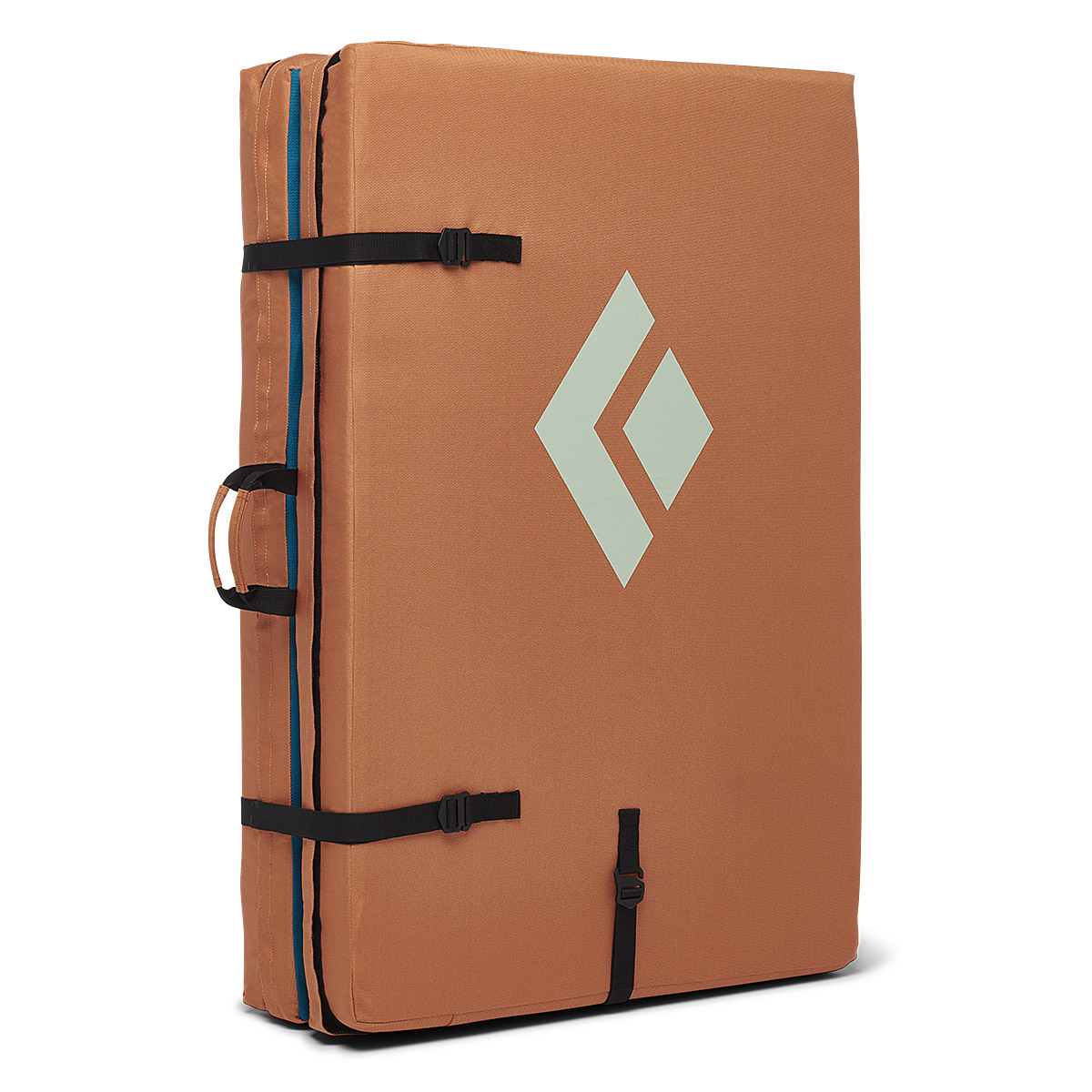 �֥�å���������� �������å� �饰���� ALL ��ŹƬ����ݥ����UP���ʡץݥ����1000P�ץ쥼���