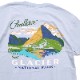��50��OFF��6600�ߢ���PENDLETON �ڥ�ɥ�ȥ� S/S Tee