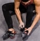 �顦���ݥ�ƥ��� �����꡼ Ws �ϥ��ӥ�����/�֥�å� ��ŹƬ����ݥ����UP���ʡۥݥ����700P�ץ쥼���