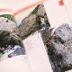 ���ʴ�� TAIWAN Bouldering guidebook ����ŷ������