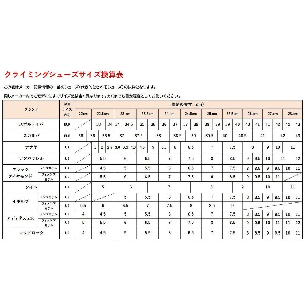 ������ Torque AV1 �ȥ륯 ���륿�͡��ȥܥ�塼�����ŹƬ����ݥ����UP���ʡۥݥ����700P�ץ쥼���