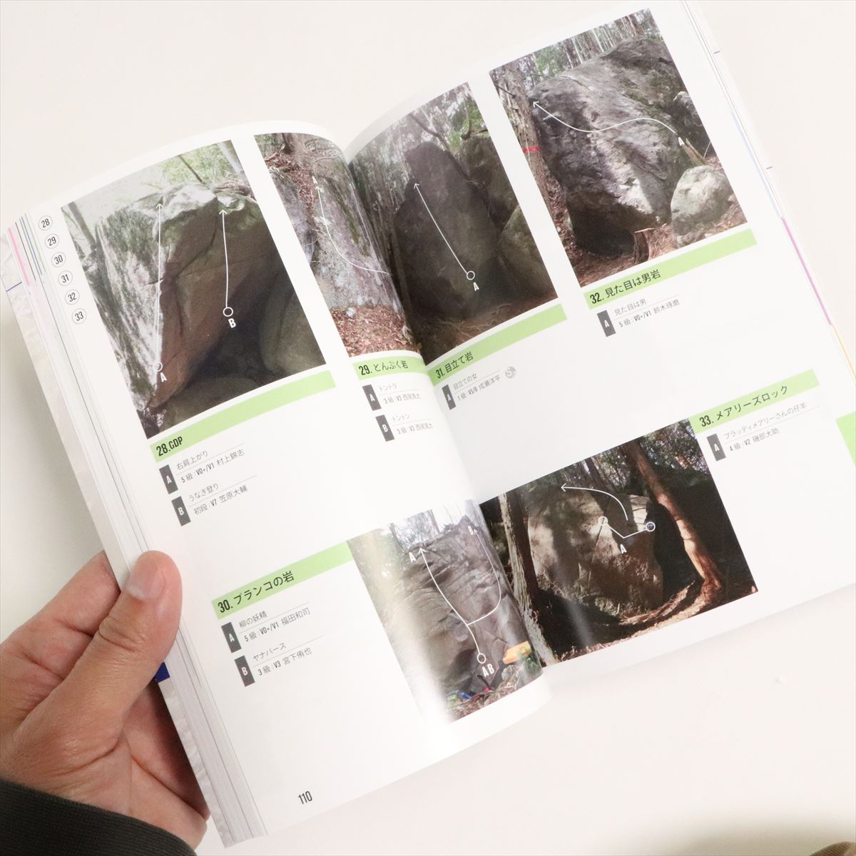 ۡ ֻ饤ߥ󥰥ꥢ -ꥢ 2022ǯ-