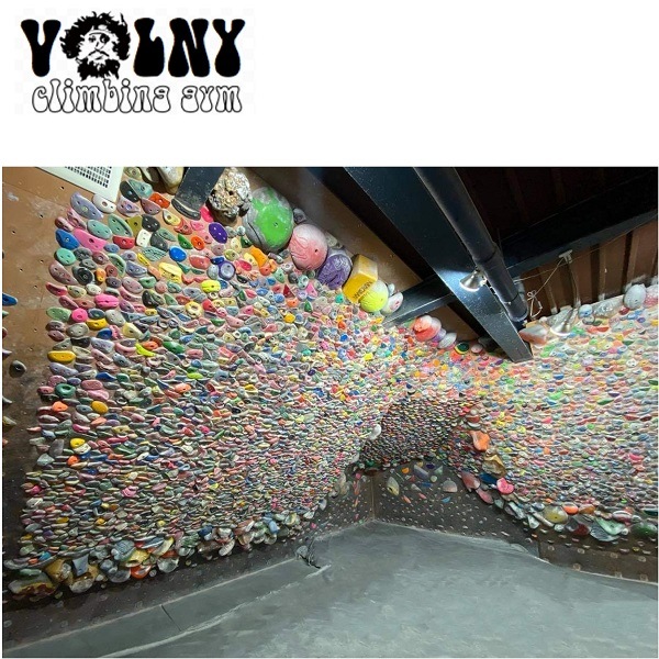 VOLNY �ܥ�ˡ� �ǥȥ�����+ ���ꥢ