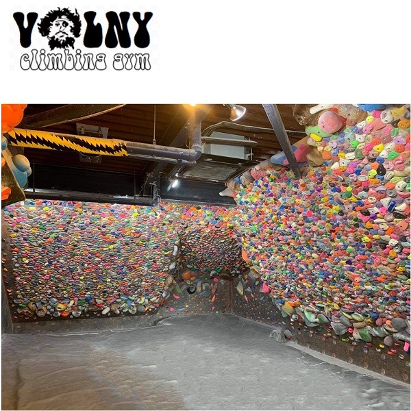 VOLNY �ܥ�ˡ� �ǥȥ�����+ ���ꥢ