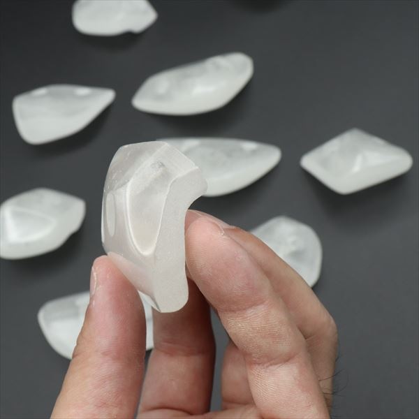 VOLNY �ܥ�ˡ� �ݥꥴ�� ���ꥢ