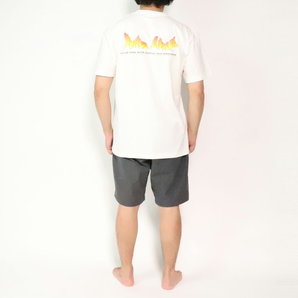 Base Camp ���ꥸ�ʥ�����ƥ��������