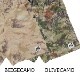 LOBSTER CLIMBING TECHNICA ��SURE SHOT SHORTS 2.0 CAMO�ۡ�LB-2205-8