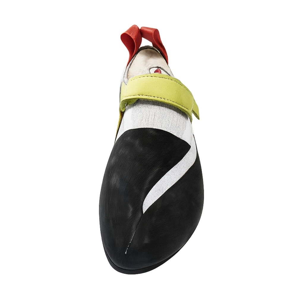 BUTORA �֥ȥ� IBEX �����٥å��� �ʥ�����ŹƬ����ݥ����UP���ʡۥݥ����700P�ץ쥼���