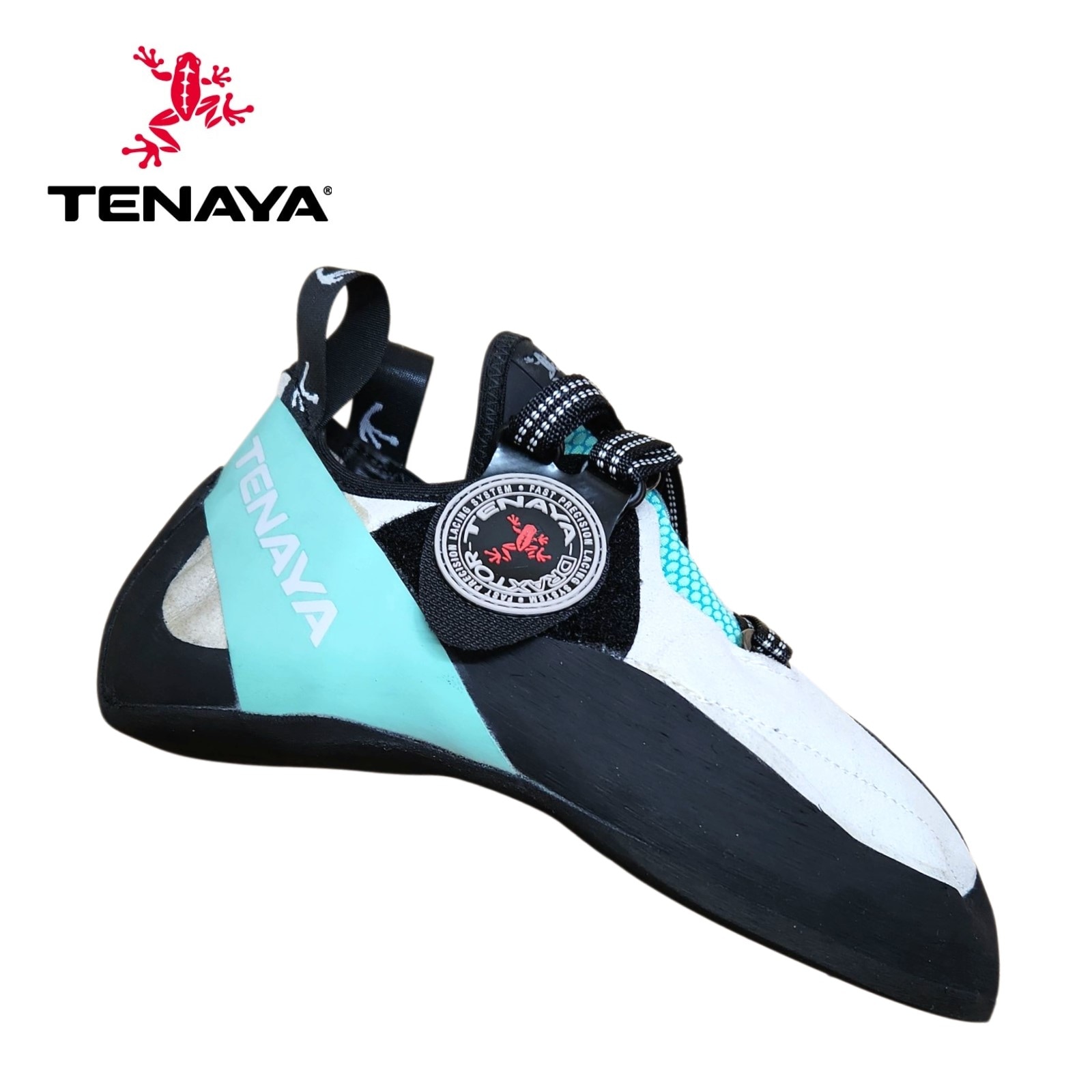 Oasi オアシ テナヤ ボルダリング クライミングシューズ tenaya〉OASI | PUMP ONLINE STORE クライミング＆ボルダリング
