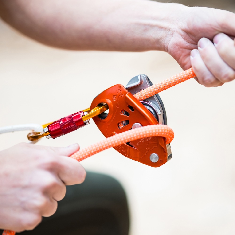 �ڥĥ� �ͥ��å��� D016AA