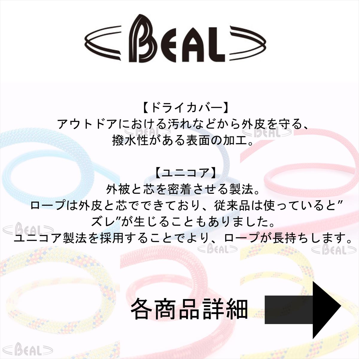 �٥�����  9.6mm �������륯�롼���� ��˥��� 30m ��ŹƬ����ݥ����UP����700P�ץ쥼��ȡ�