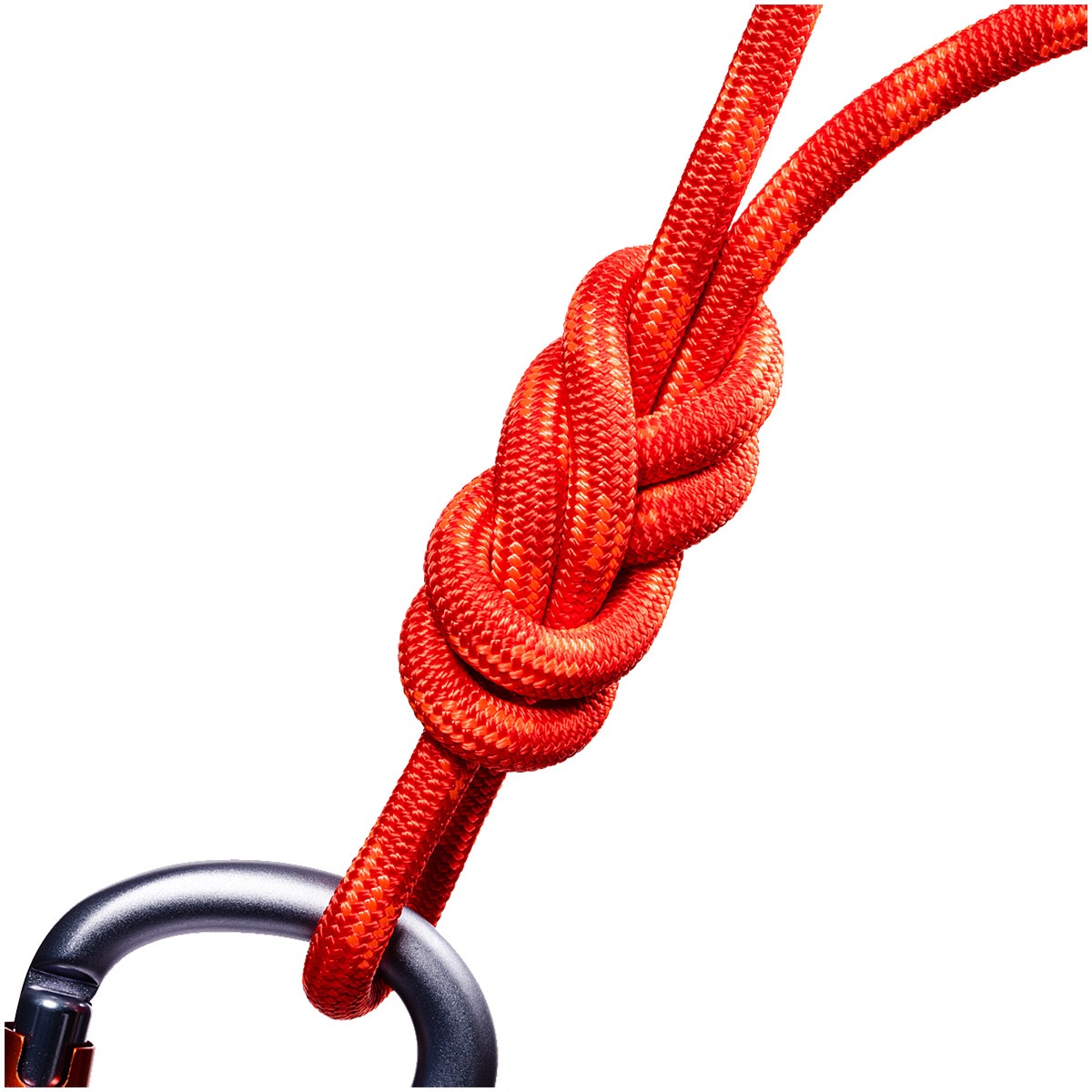 ٥  9.6mm 륯롼 ˥ 40m ŹƬݥUP700Pץ쥼ȡ