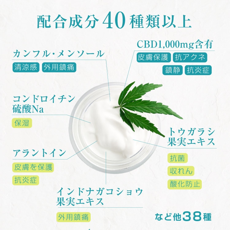 Bicle �ӥ��� CBD ��꡼�ե��꡼�� CBD1000mg�۹�/100g