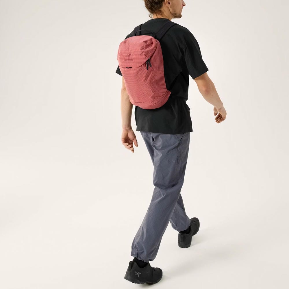 �������ƥꥯ�� ���󥷡��� 15 Konseal 15 backpack