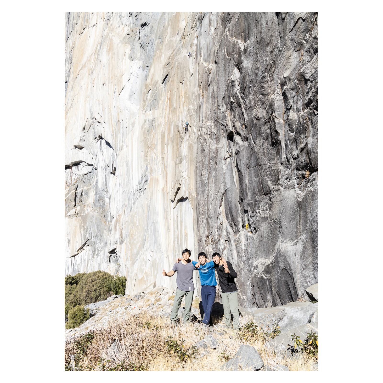 �̿�����������ڵ�� -�Ҿ����ε���-