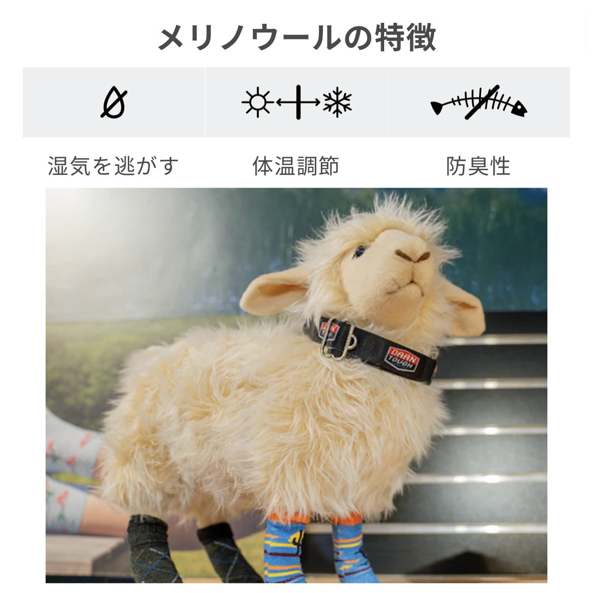 Darn Tough �����󥿥� 1991 M's �饤�ȥϥ����� 1/4���å� �饤�ȥ������� ���å����