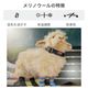 Darn Tough �����󥿥� 1991 M's �饤�ȥϥ����� 1/4���å� �饤�ȥ������� ���å����