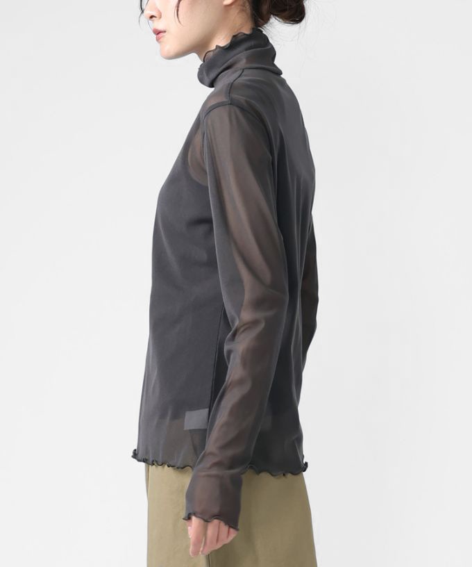 シースルータートル・メロー