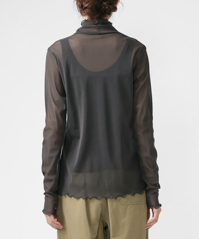 シースルータートル・メロー