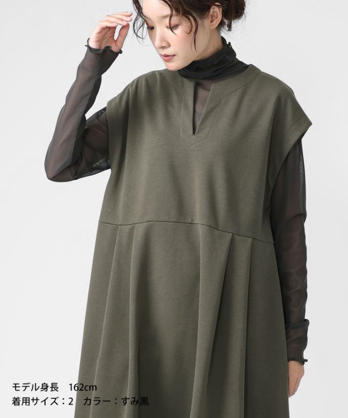 シースルータートル・メロー