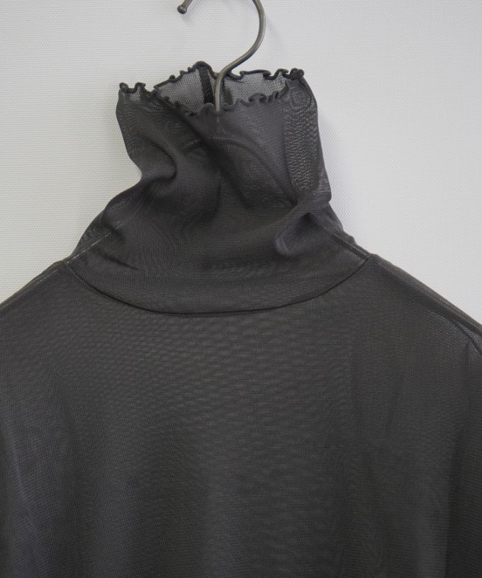 シースルータートル・メロー