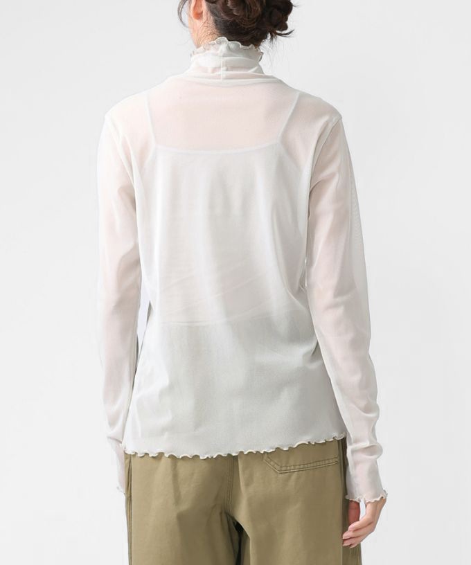 シースルータートル・メロー