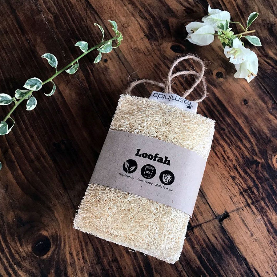 まいまい　ウミウチワ30個セット まいまい ウミウチワ30個セット まいまい様専用 ウミウチワ30個