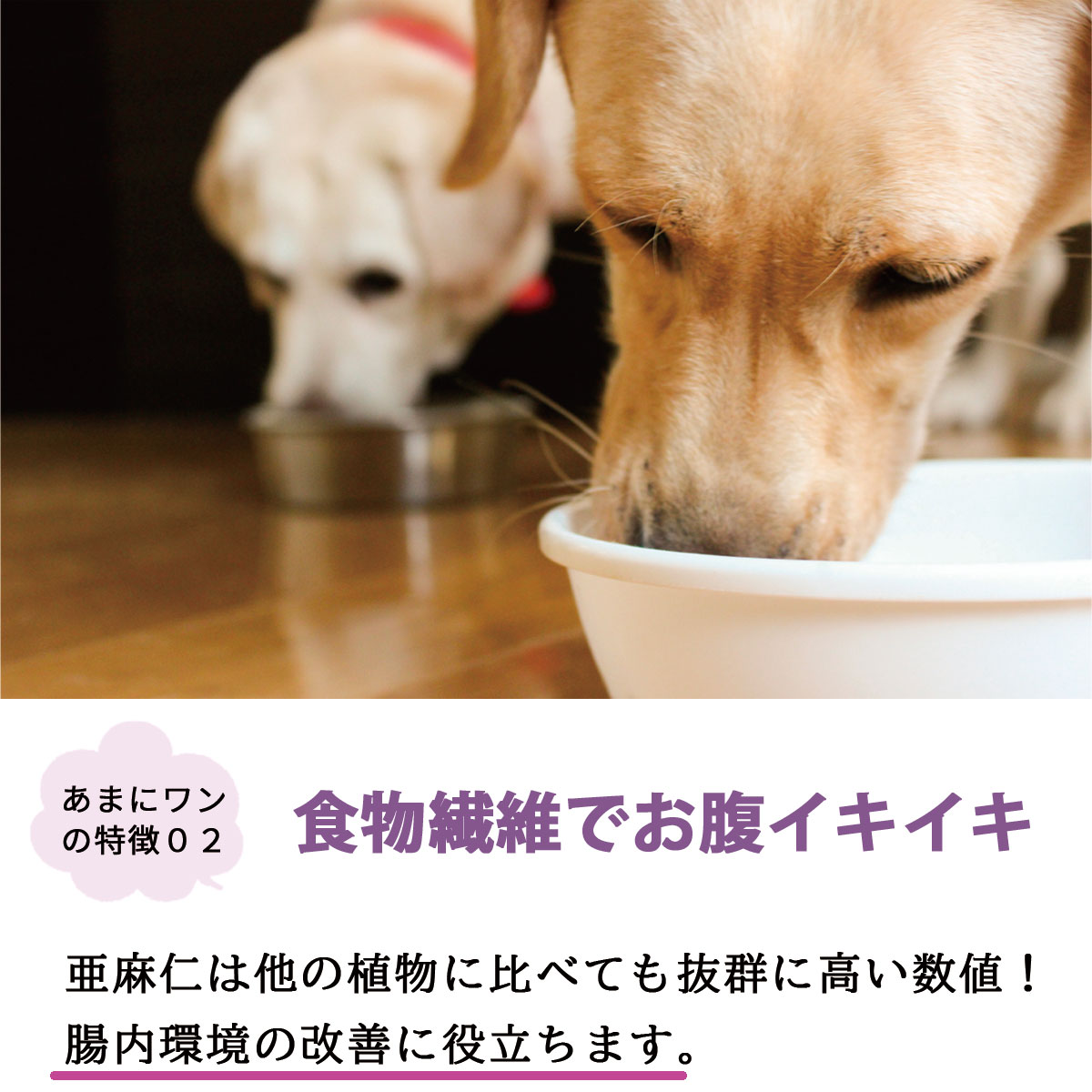 あまにワン 犬用栄養補完食 送料無料 | アニマル関連 | リネンのお店