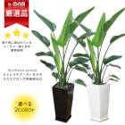 ڿ̸ տʪ 緿 ȥ  ⤵150cm 2Ω  ƫȭ ٤ƫȭ   