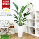 ͵Υȥ  2Ω ⤵140cm150cm ƫȭ ٤륫顼  դڿ̸