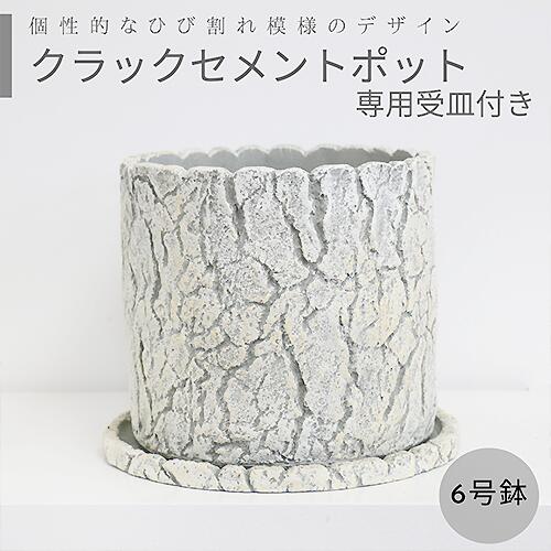 クラックセメントポット【送料無料・受け皿付き】単品 シリンダー