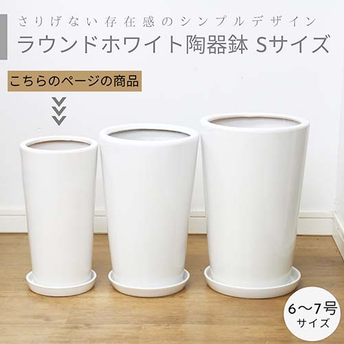 ラウンド陶器鉢 Sサイズ【受け皿付き 鉢底ネット付き】小型 中型  