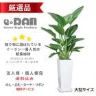 տʪ  ȥ  Ω ⤵120cm ۥ磻ƫȭ  ˳Ļ ڿ̸