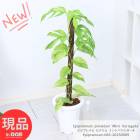 տʪ ԥץʥ ԥʥĥ ߥȥХꥨ 7ȭ  ⤵83cm Epipremnum pinnatum 'Mint Variegata'ڸȯ