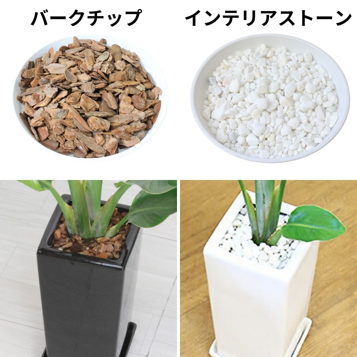 �ڿ��̸�������� ���ȥ����� ���������� �⤵��80cm ��������ƫ��ȭ ���٤륫�顼 �� �� �����դ� ���տ�ʪ ����